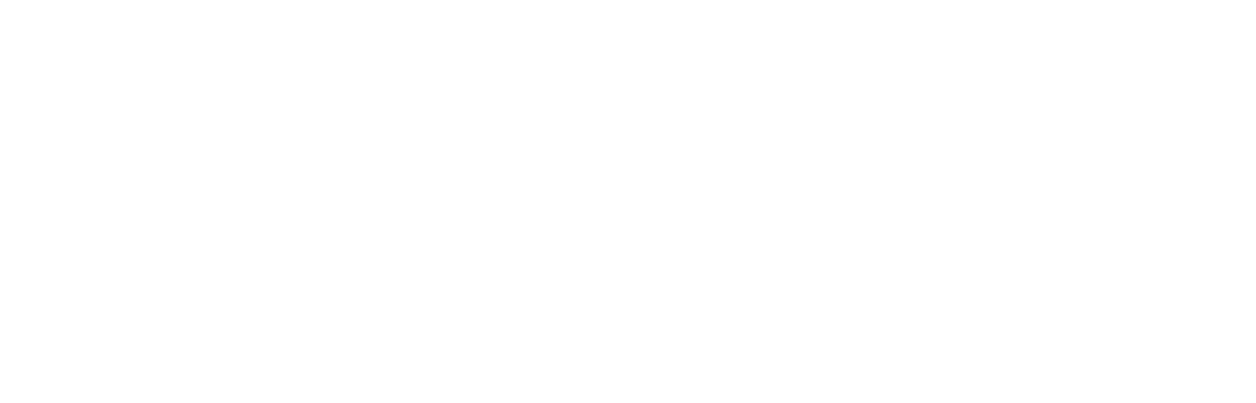 Easy Driver Partner YANGO Logo